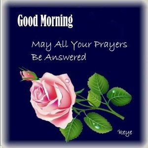 Meet your Posher, Paul